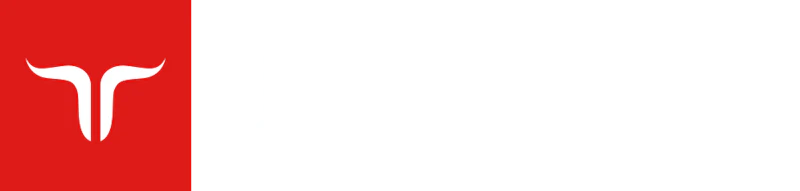 Jetbull Logo Transp