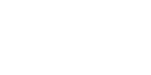 Stake logo white 1