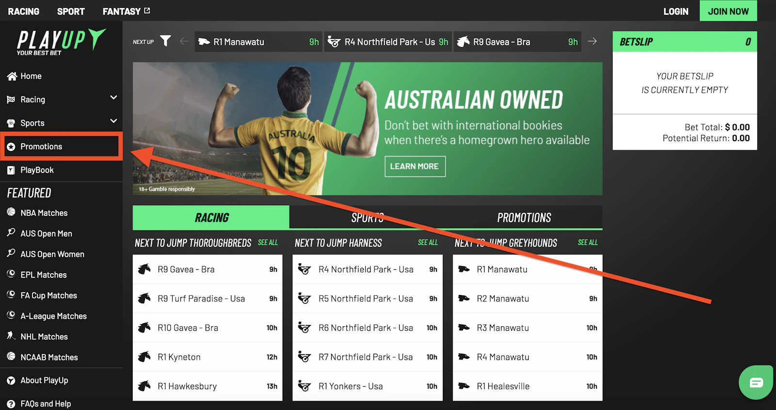 Play Up Promotions