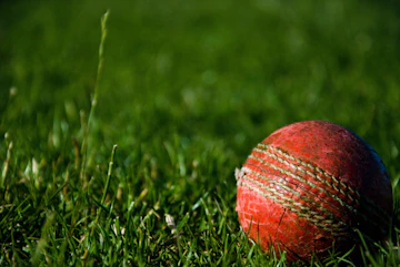 Cricket betting sites 2